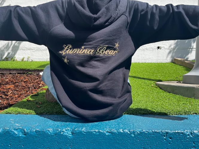 Lumina Bear "Ocean Beach" Hoodie in Glitter Gold/Midnight